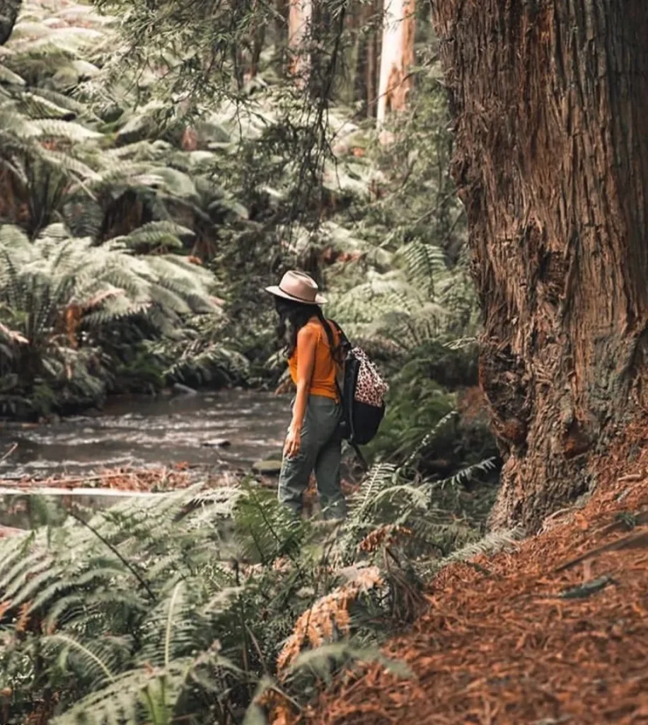 Great Otway National Park