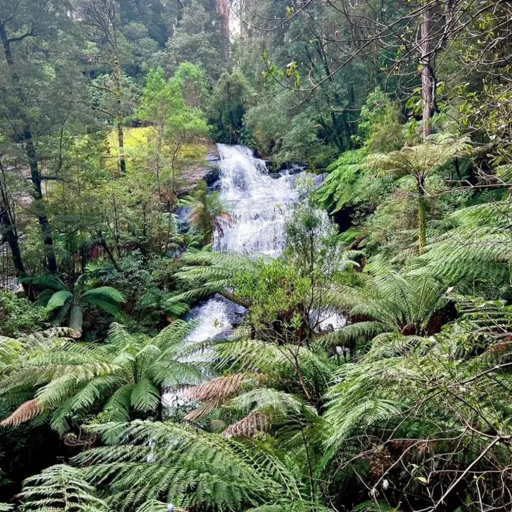 Otway Ranges