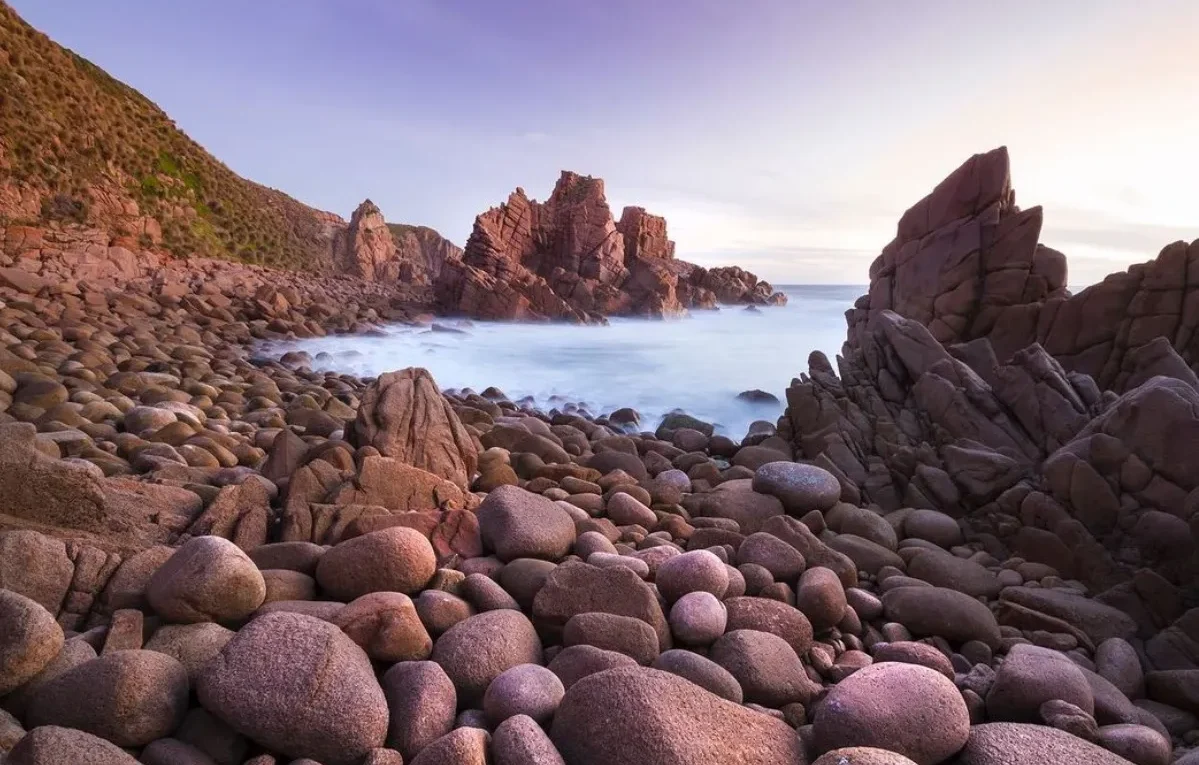 Exploring Phillip Island's Marine Life