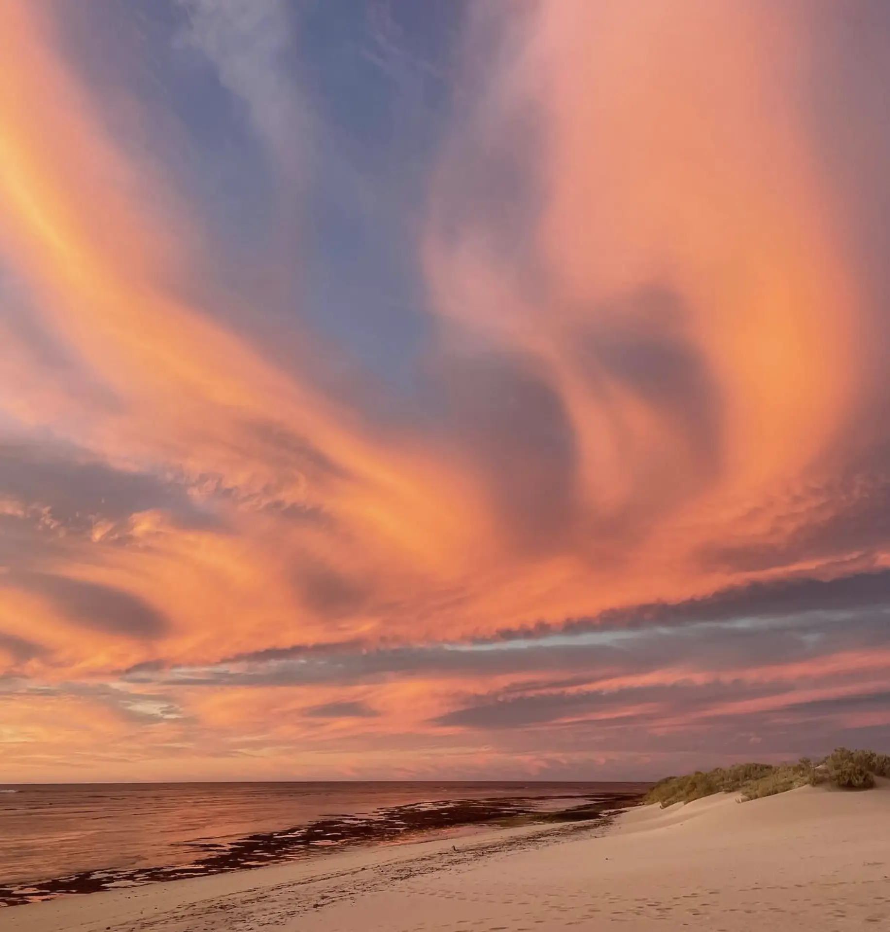 Shark Bay World Heritage