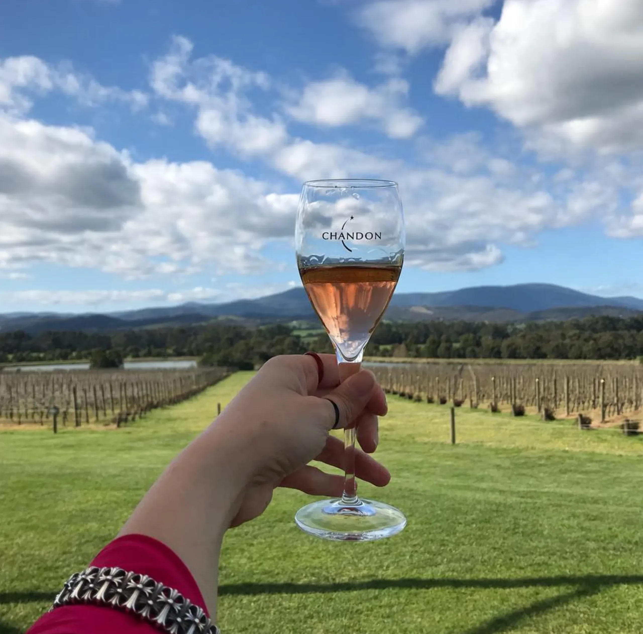 Steels Gate Winery, Yarra Valley