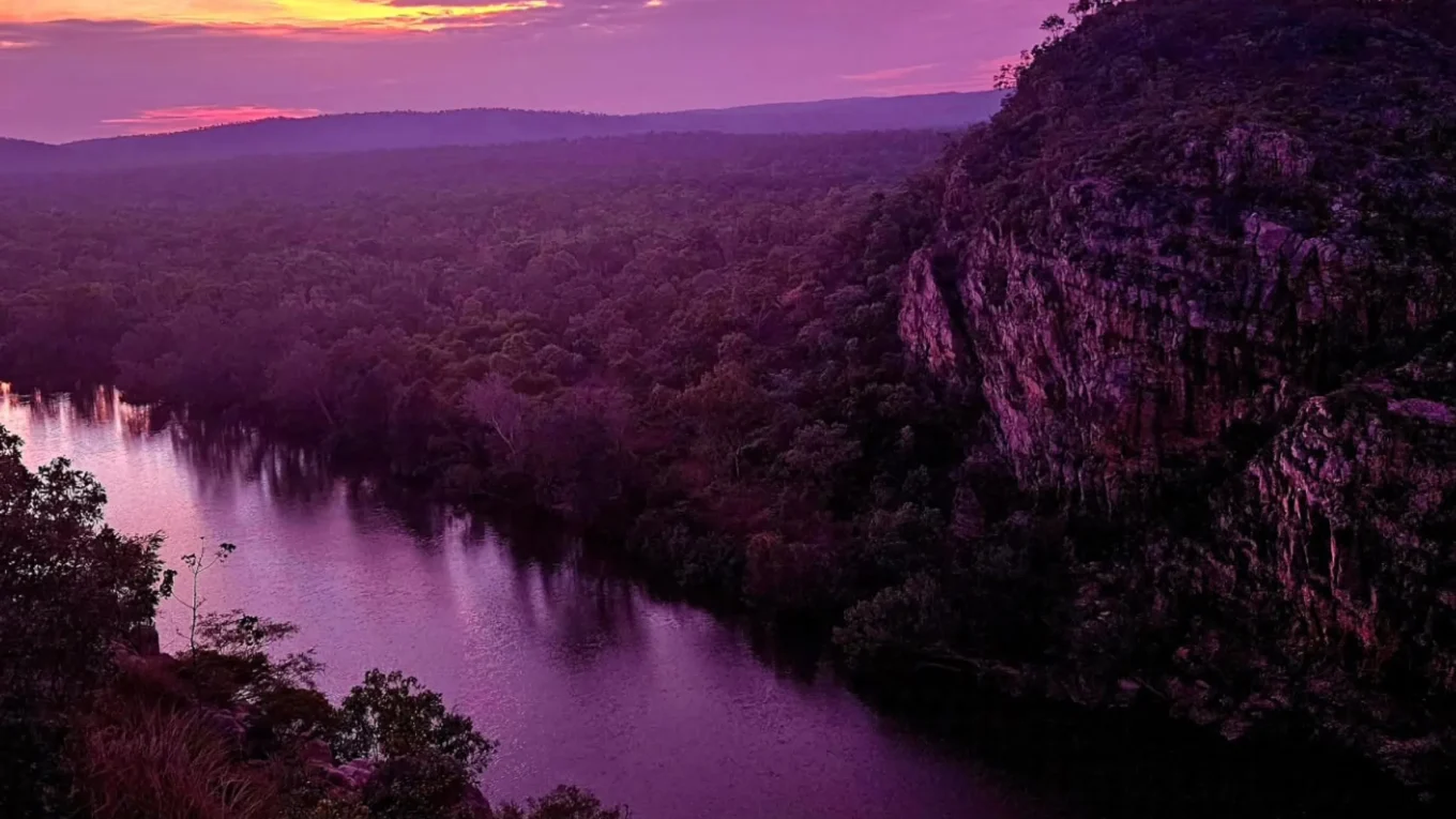 Saltwater Crocodiles in Katherine Gorge
