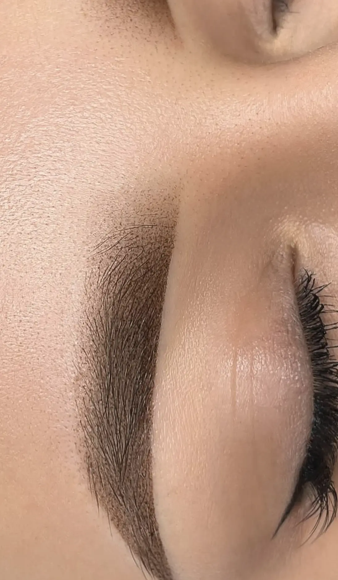 healed ombre brows