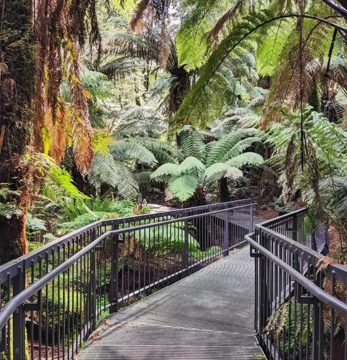Great Ocean Road tour in Melbourne
